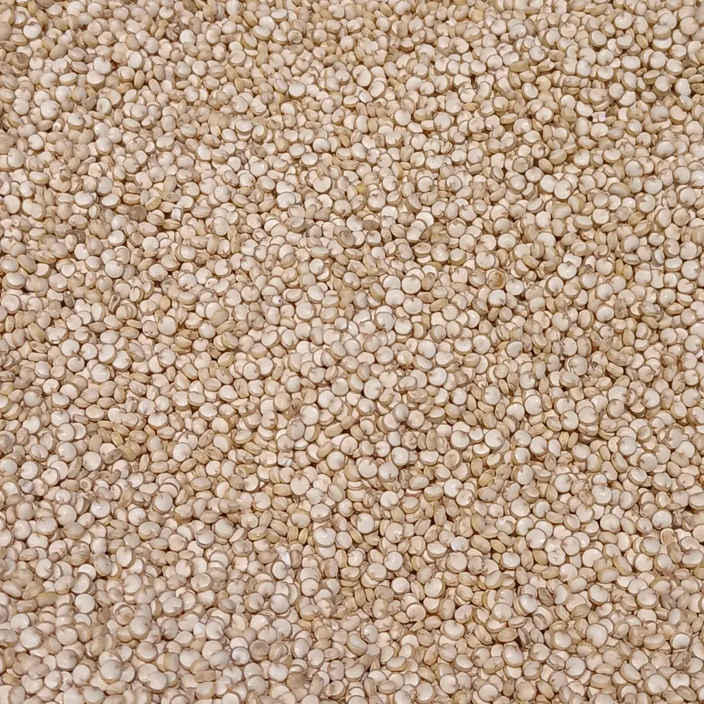 quinoa_w_4.webp