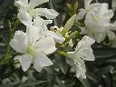image_1024