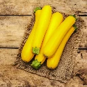 courgette_rheinau-gold_2.webp