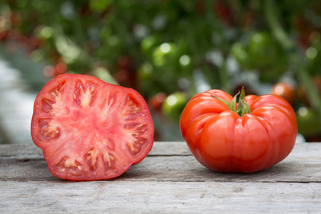 Tomate ‘Beefsteack’