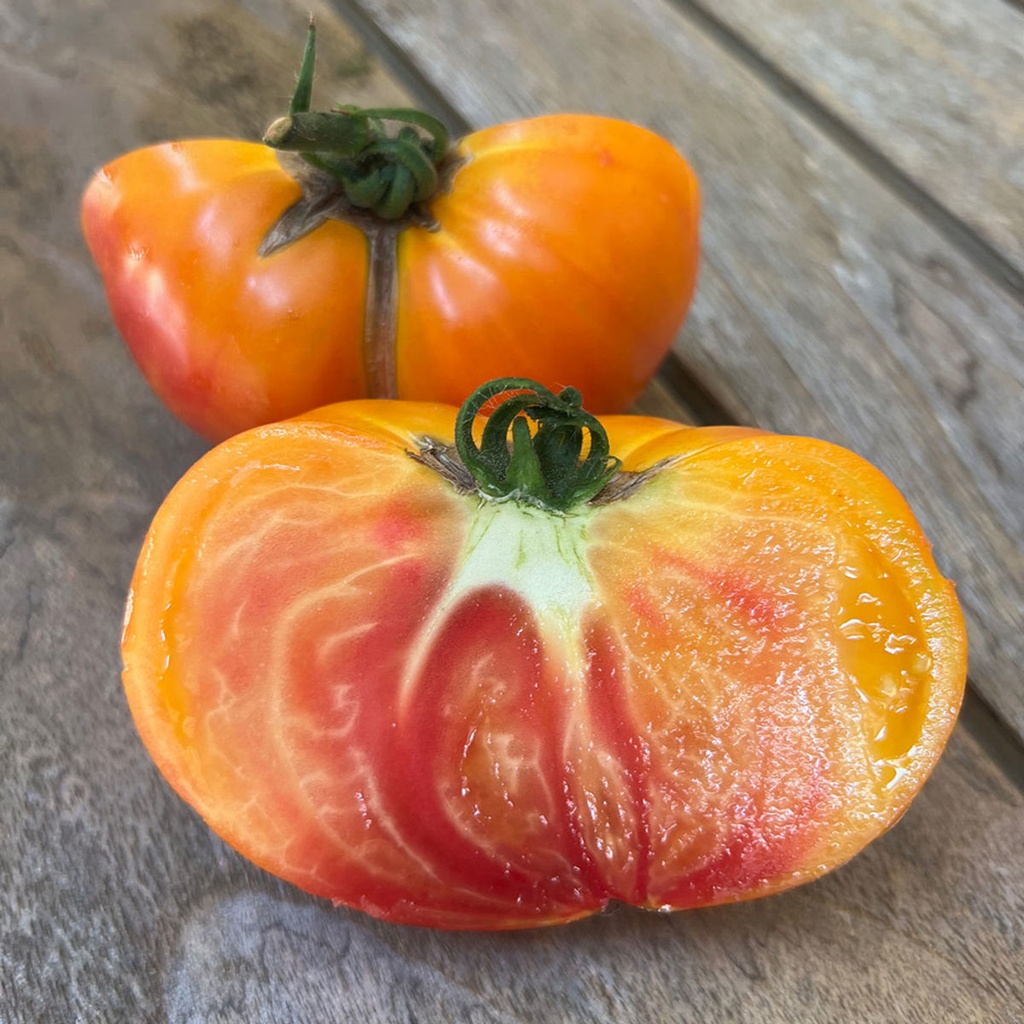 Tomate ‘Ananas’ (Godet)