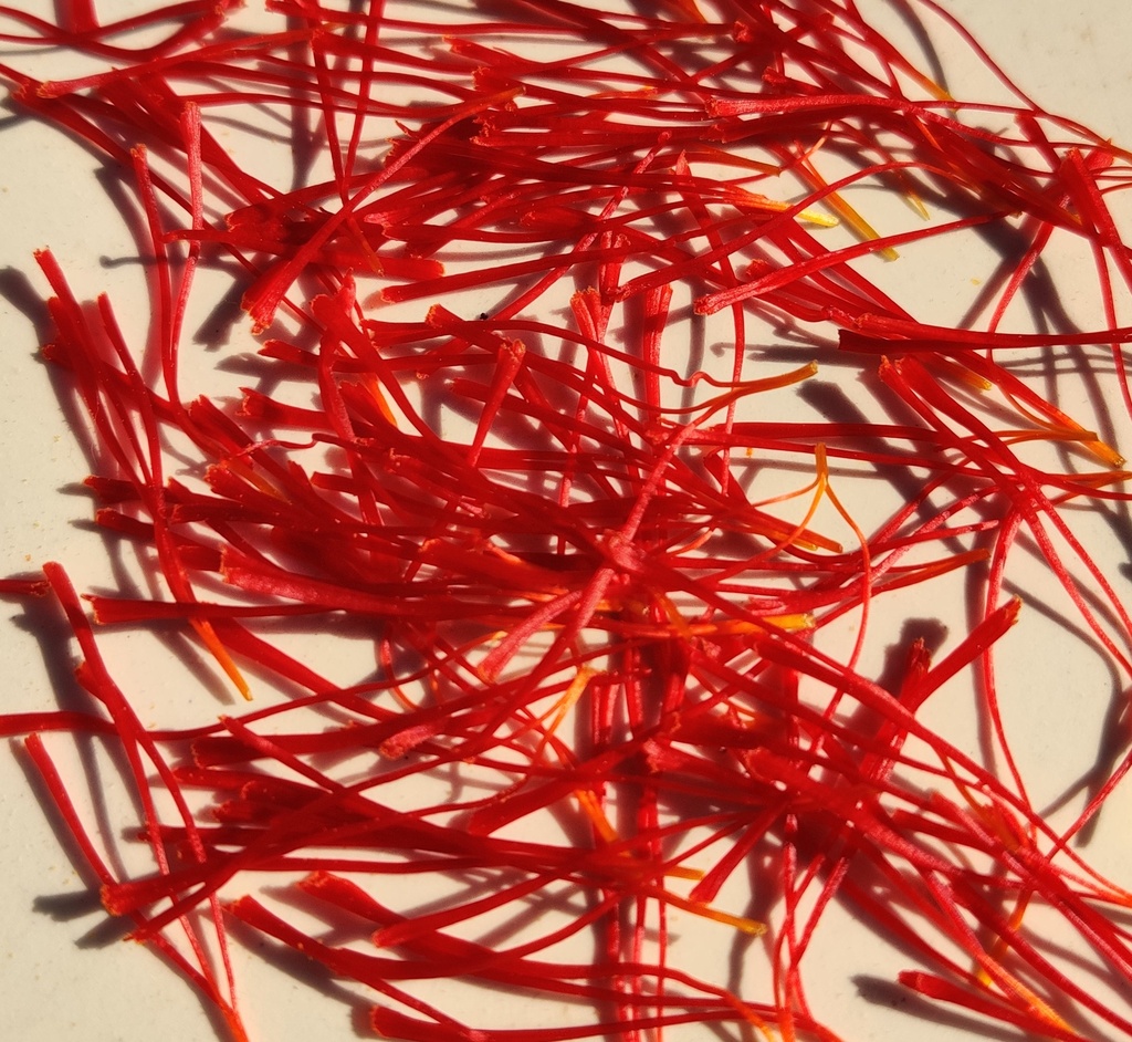 Pistils de safran (Flacon 25 mg)