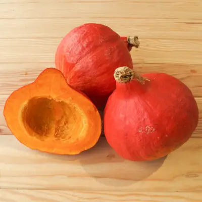 Potimarron 'Red Kuri'