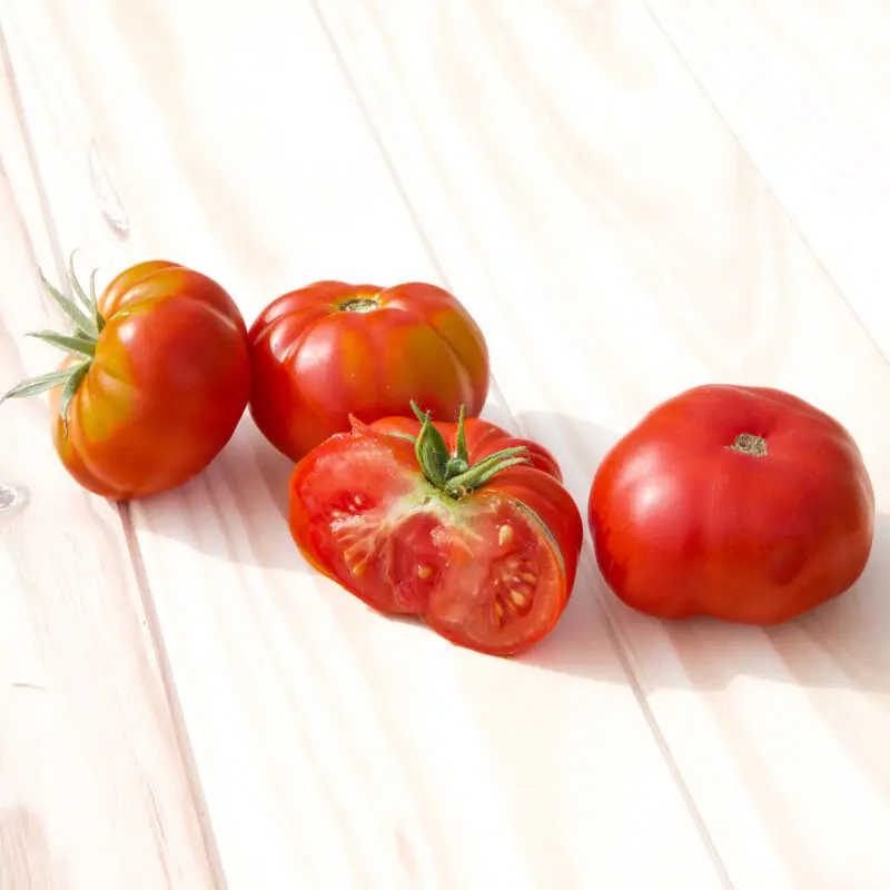 Tomate ‘Reine des hâtives’ (Godet)