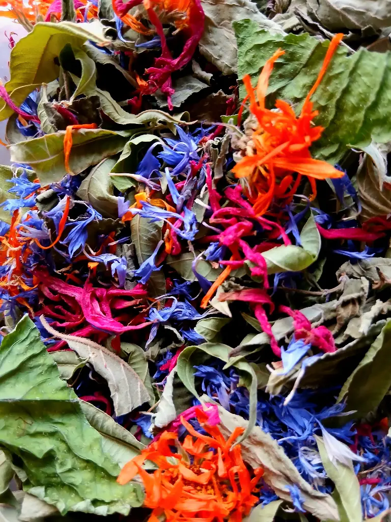 Infusion 'Flower Power'