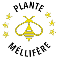 Plante mellifère