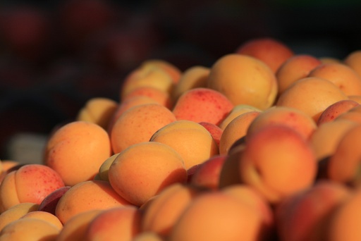 Confiture d'abricots