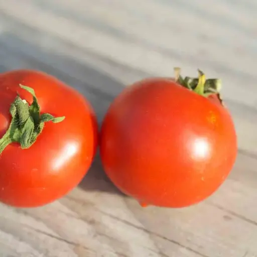 Tomate ‘Budaï Torpe’